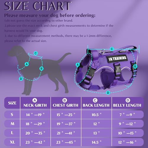 Escape Proof Dog Harness with Double Handle+4 Removable Patches (Large / Purple)