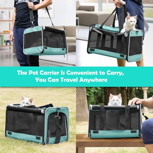 Small Dog Carrier Yorkshire Puppy Softshell Chihuahua Transport Cage (Turquoise / 18.1"L x 11.8"W x 11.8"H)
