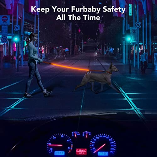 LED Light Up Dog Leash (Orange / 4FT)
