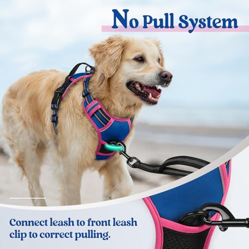 Dog Harness No Pull Medium Sized with 2 Leash Clips (Medium / Blue & Hot Pink)