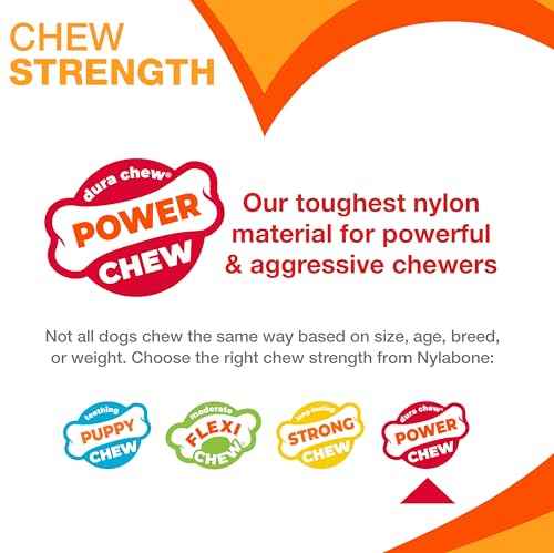 Power Chew Original Bone Dog Chew Toy (Large)