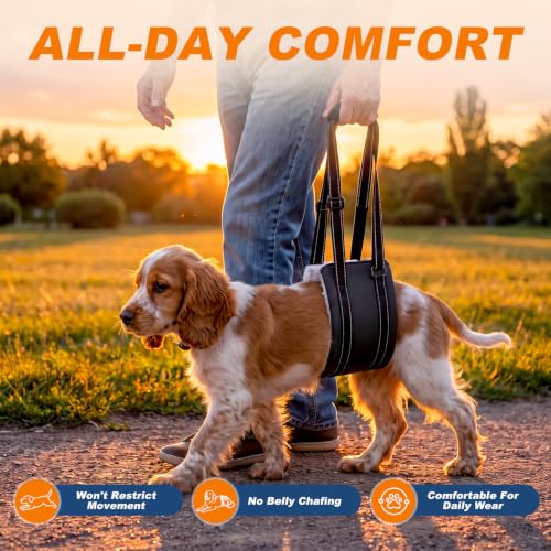 Dog Lift Harness for Rear Legs (Medium)