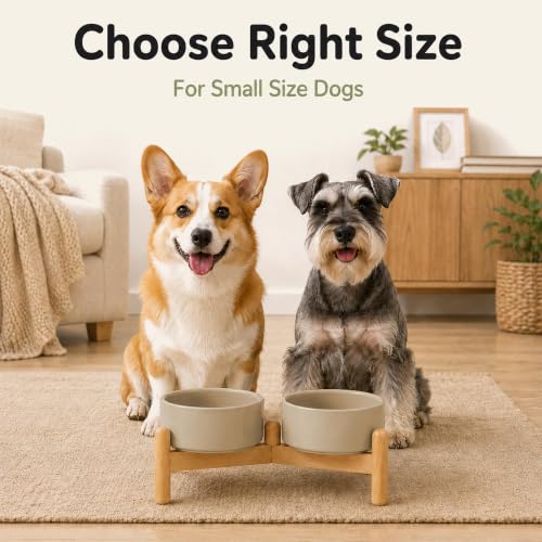 Ceramic Dog Bowls Elevated (Greige)