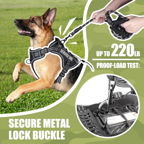 Dog Harness and Leash Set for Small Dogs (Black / S)