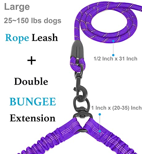 Double Dog Leash (Purple / Large)
