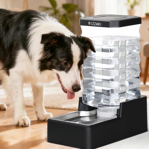 2.64 Gallon Dog Water Bowl Dispenser (Black with Lid & Filter / 10L)