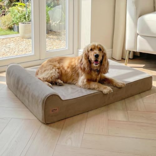 Orthopedic Dog Beds for Large Dogs (X-large / Brown)