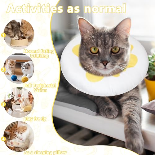 Cat Cone Collar Soft (Egg / Medium)