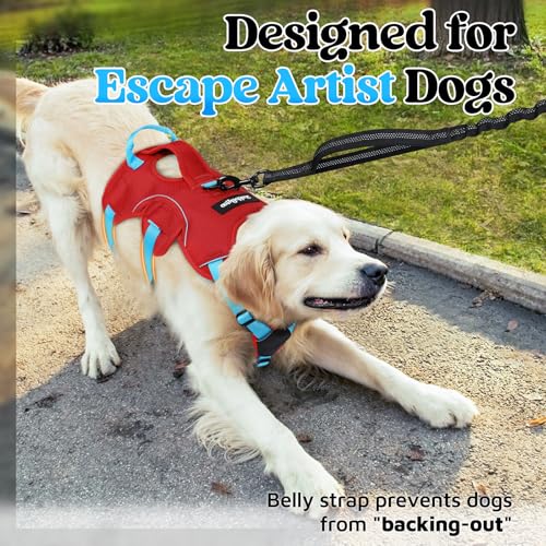 Escape Proof Dog Harness for Large (Sky Blue & Red / Large)