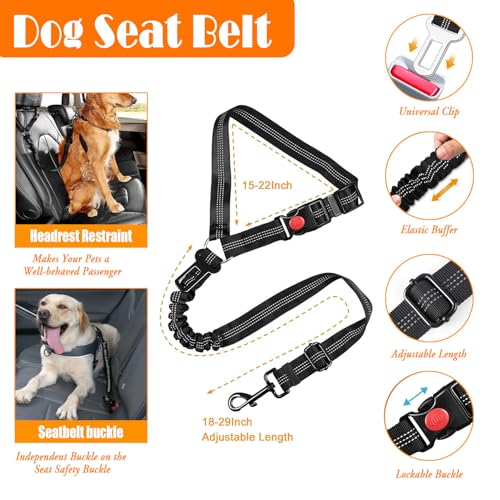 No Pull Dog Harness (Medium / Black)