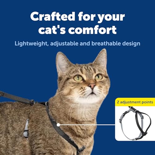 Come with Me Kitty Harness and Bungee Cat Leash (Small (Pack of 1) / black/fawn)