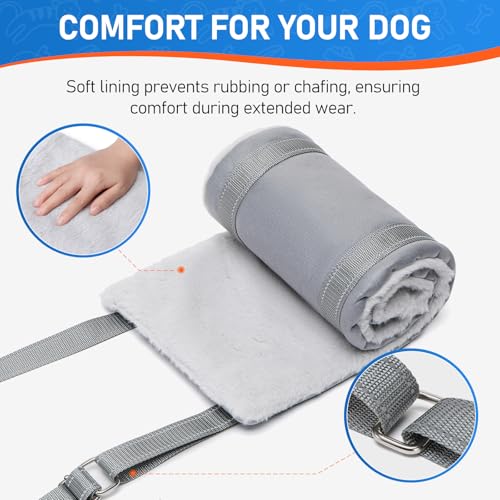 Dog Lift Harness for Large Dogs Adjustable Dog Sling for Back Legs (Grey / X-Large)