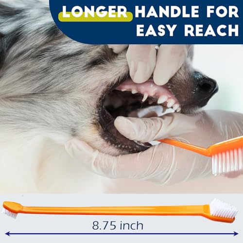 200 Pcs Dog Toothbrush Cat Tooth Brushes Bulk (200 pcs)