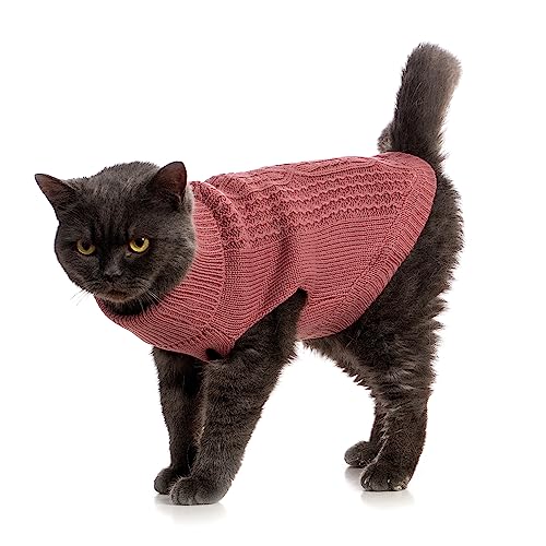 Cat Sweater Stretchy (Maple Leaf Red / Small)