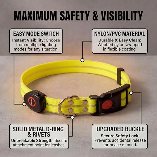 LED Dog Collar & 4 Foot Leash (Yellow)