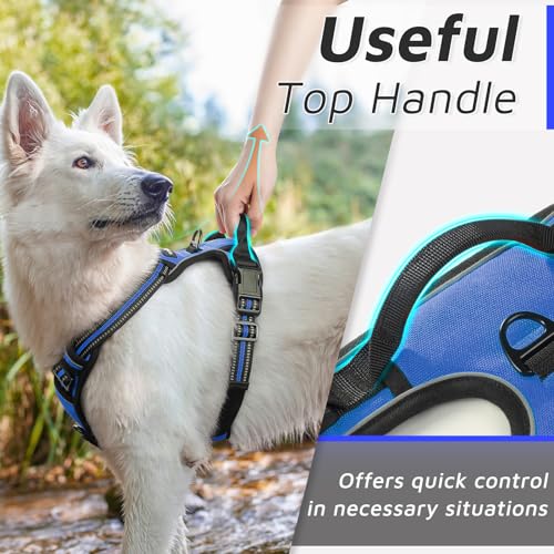 Dog Harness for Medium Sized Dogs (Medium / Blue)