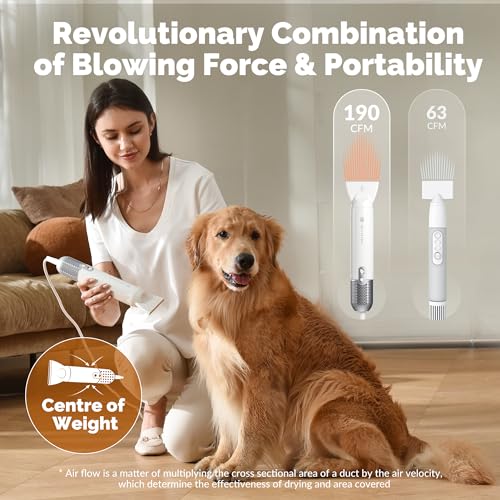 Handheld Dog Dryer