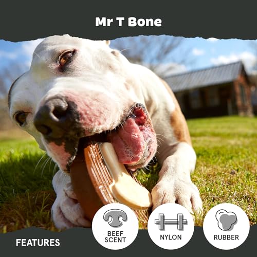 Mr. T Bone Super Chewer (Medium/Large / Mr. T-Bone)