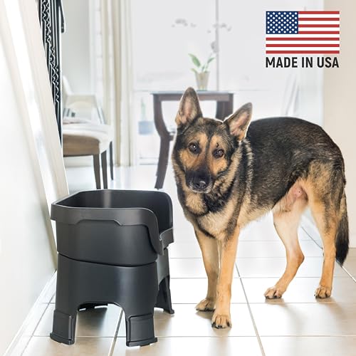 Neater Feeder Deluxe Mess (Large + Standard Bowl / Midnight Black)