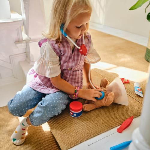 Examine and Treat Pet Vet Play Set (13.5 x 10.5 x 3.5)
