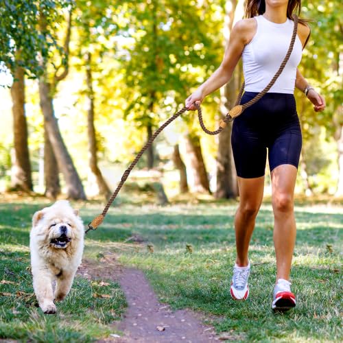 Hands Free Dog Leash (Dark Brown / 7FT Hands Free)