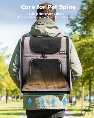 Cat Backpack Expandable (Brown / 12.6"L x 10.2"W x 16.5"H)