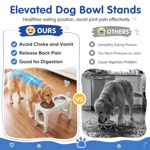 Elevated Dog Bowls Large Breed Raised Dogs Bowl Stand Large (B-White)