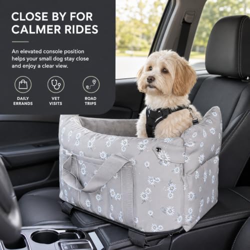 Center Console Dog Car Seat Safe Travel for Small Dogs Under 15 lbs (Gray)