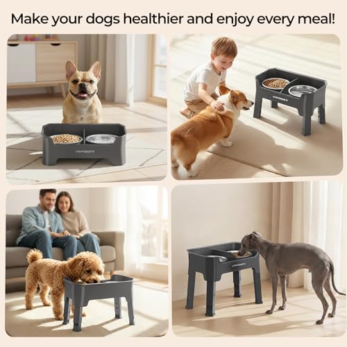 Mess Proof Elevated Dog Bowls (Grey / Small)