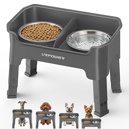 Mess Proof Elevated Dog Bowls (Grey / Small)