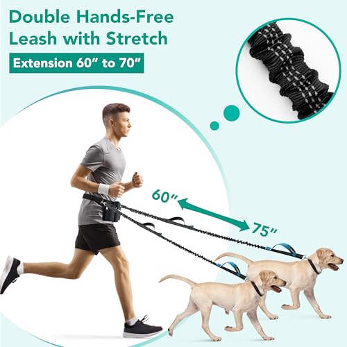 Premium Hands Free Dog Leash for 2 Dogs (Black / 2 Leashes)