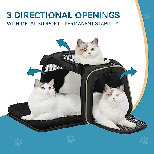 Pet Carrier Airline Approved with Extendable Mat (Medium / Black)