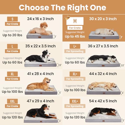 Orthopedic Waterproof Medium Dog Bed (30" x 20" x 3" (For Sprawling) / 01-Gray)