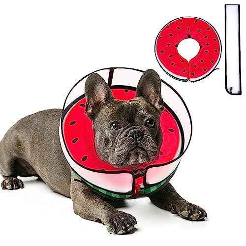 Inflatable Dog Cone Collar with Enhanced Anti (Medium / Watermelon)