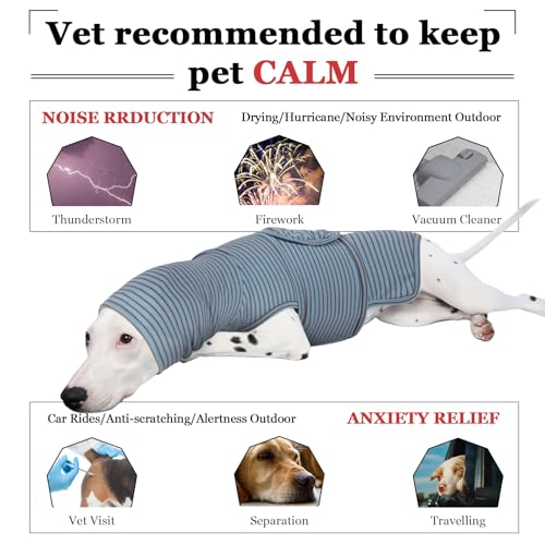 Dog Weighted Vest (S / BlueStripe)