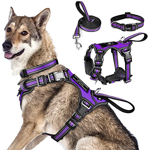 Pet Harness Collar and Leash Set (X-Large / Purple)