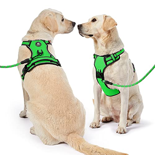 Dog Harness for Small Sized Dog (Green / Small)