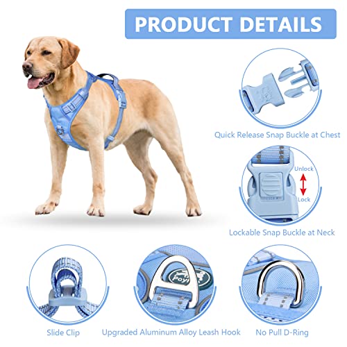 No Pull Dog Harness (L / Light Blue(Matching Trim))