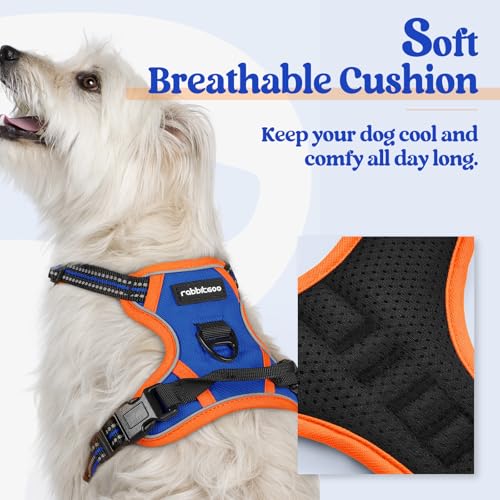 Dog Harness No Pull for Small Dogs with 2 Leash Clips (X-Small / Blue & Orange)
