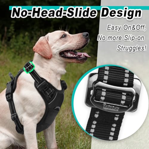 Dog Harness for Large Dog No Pull 2 Clips 3 Buckles Dog Vest (Large / New Black)