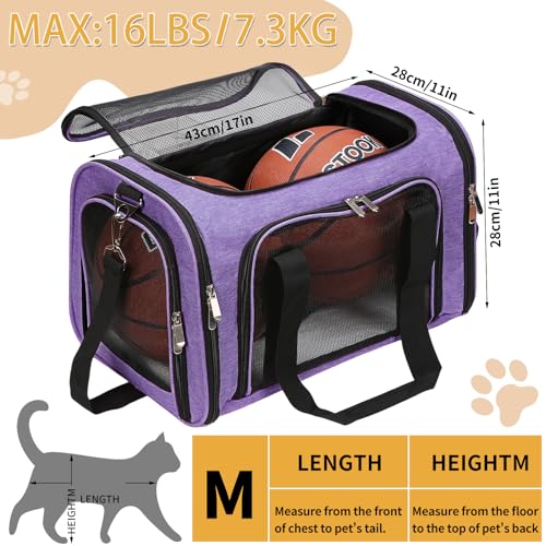 Soft Sided Cat (Purple / 17"L x 11"W x 11"H)