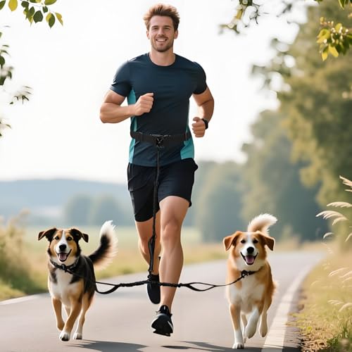 Hands Free Dog Leash for 2 Dogs Up to 250 lb (Black / Two Dogs)
