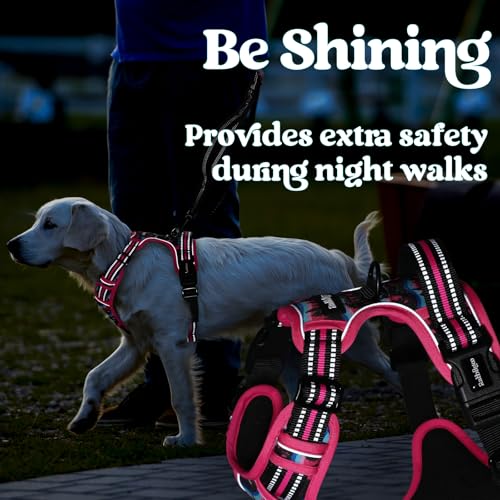 Dog Harness Medium Sized (Medium / Mountain Rose)