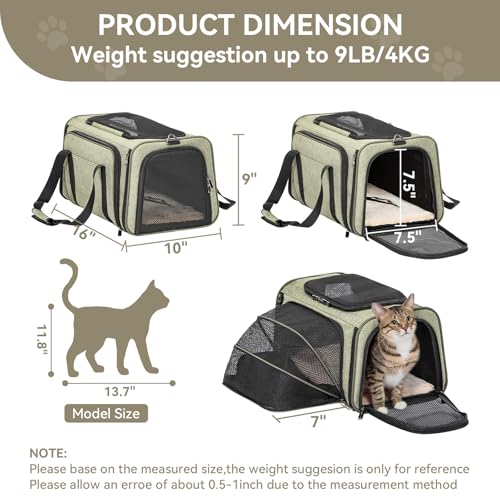 Small Expandable Cat Carrier for Air Travel (16.0"L x 10.0"W x 9.0"H / Green)