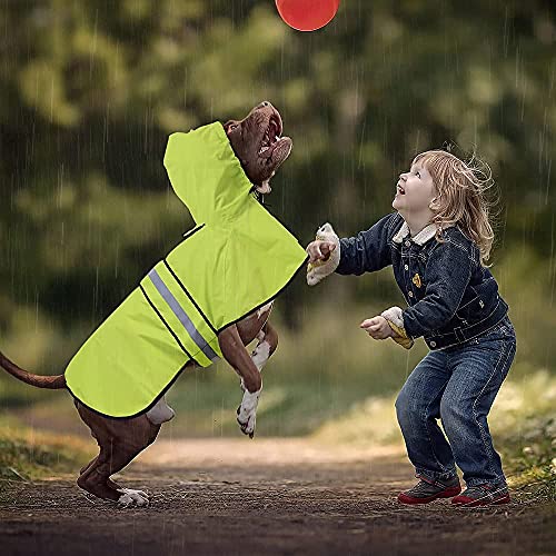 Waterproof Raincoats for Dogs (Neon Green / Large)