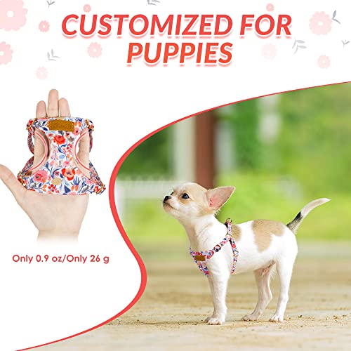 No Pull Dog Harness with Leash for Small Medium Dogs (XX-Small(2.2-6lb) / Flower)