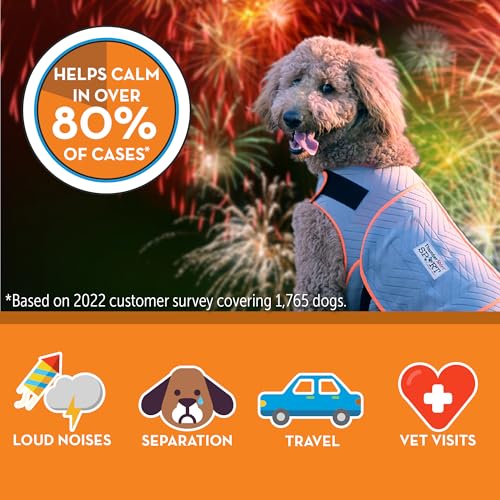 for Dogs Calming Anxiety Vest (X-Large / Platinum)
