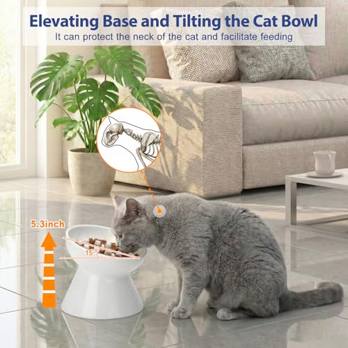 Ceramic Slow Feeder Cat Bowl (White-Honeycomb / 2 Cups)