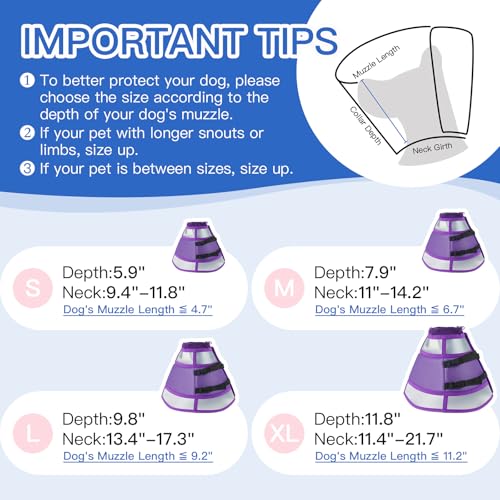 Dog Cone Alternative for Small Dogs to Stop Licking (Purple / Medium)