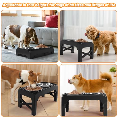 Elevated Dog Bowls with 2 Stainless Steel Dog Food & Water Raised Bowls with No Spill Edge Non (S (6" for Small Dogs) / Black)